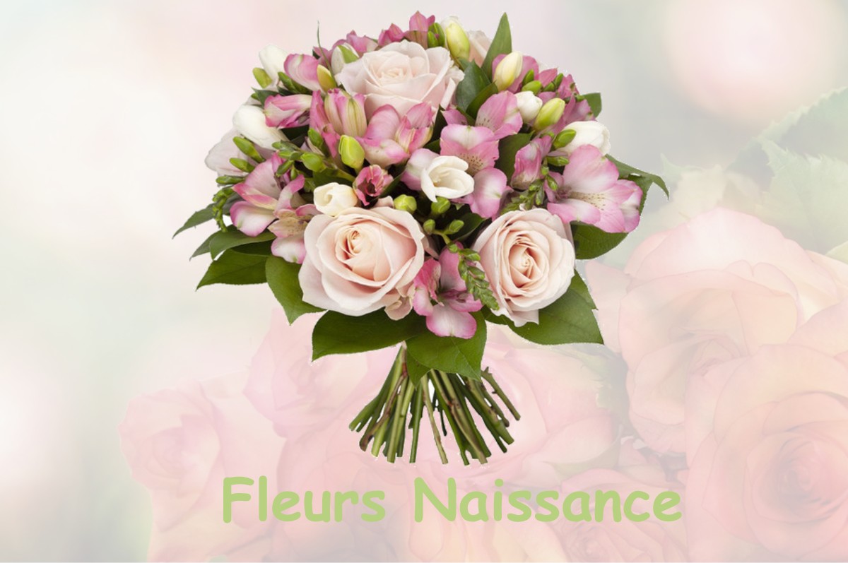 fleurs naissance PIERREFONTAINE-LES-VARANS